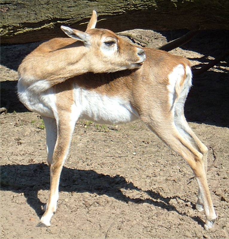 Da komm ich einfach nich ran !!!