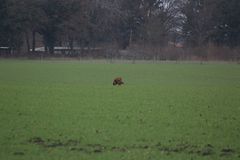 Da kommt bald Nachwuchs :-))