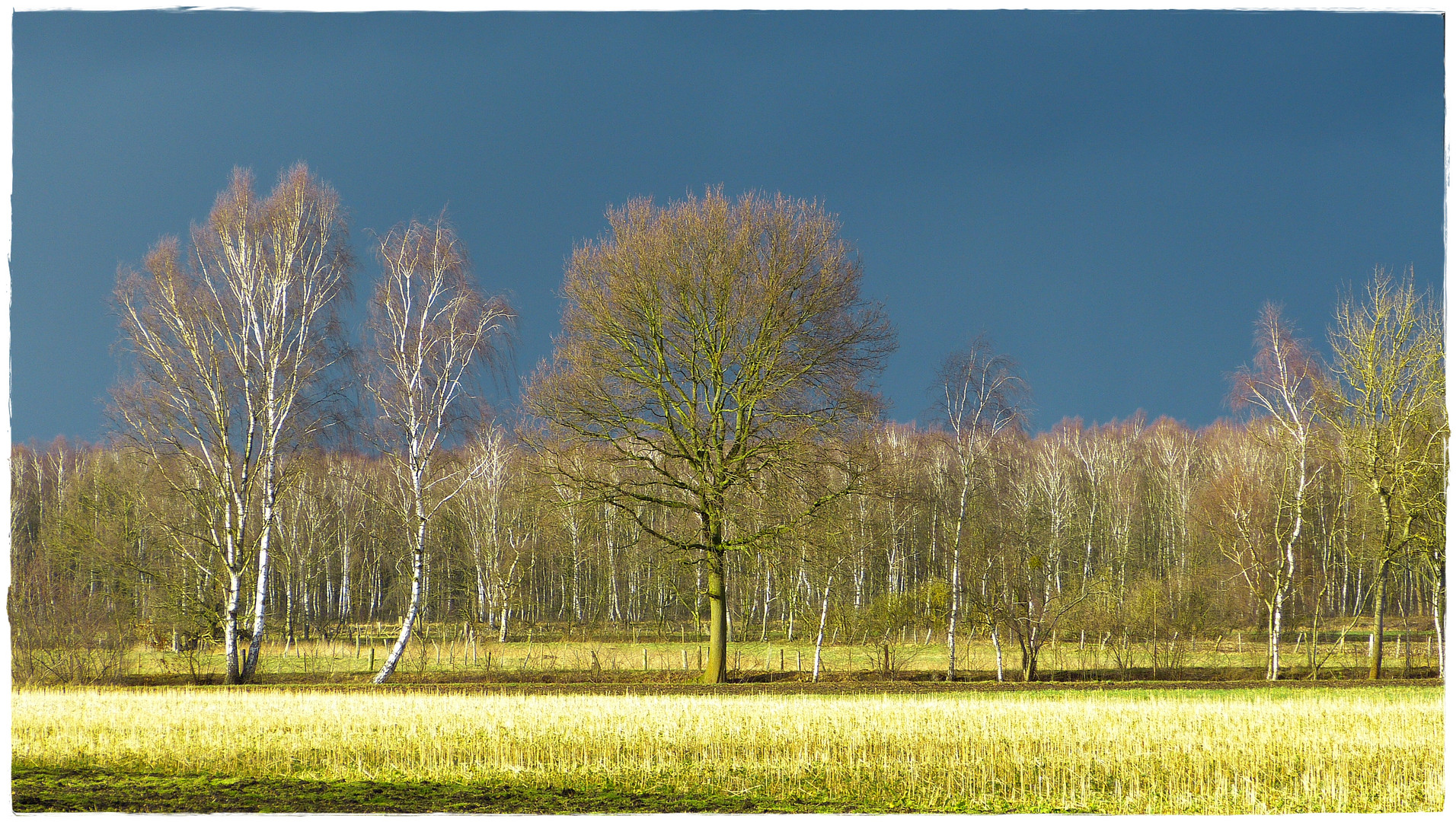 Da kommt ein Wetter