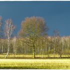 Da kommt ein Wetter