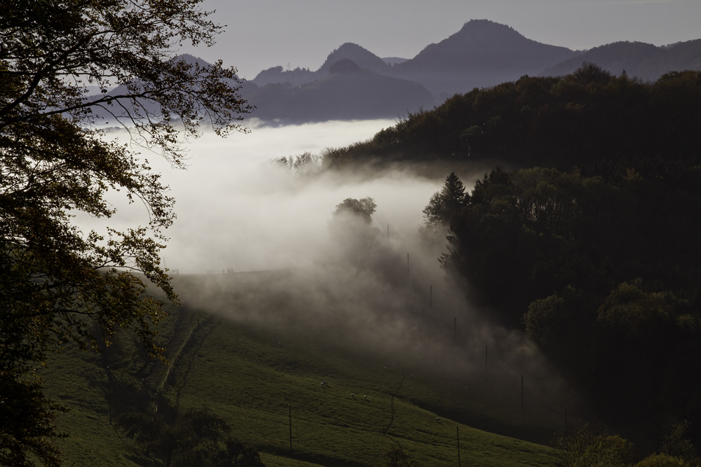 Da kommt er, der Nebel...