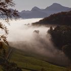 Da kommt er, der Nebel...