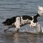 Da kommt freude auf _Wasserspaß