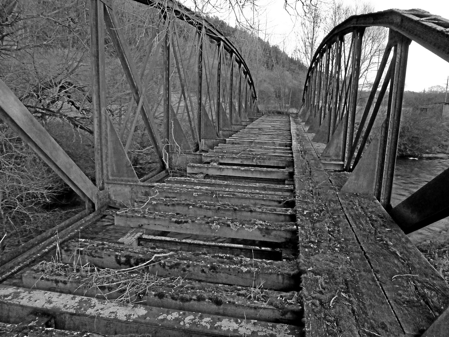 Da kommt kein Zug mehr... - Alte Eisenbahnbrücke der Bregtalbahn