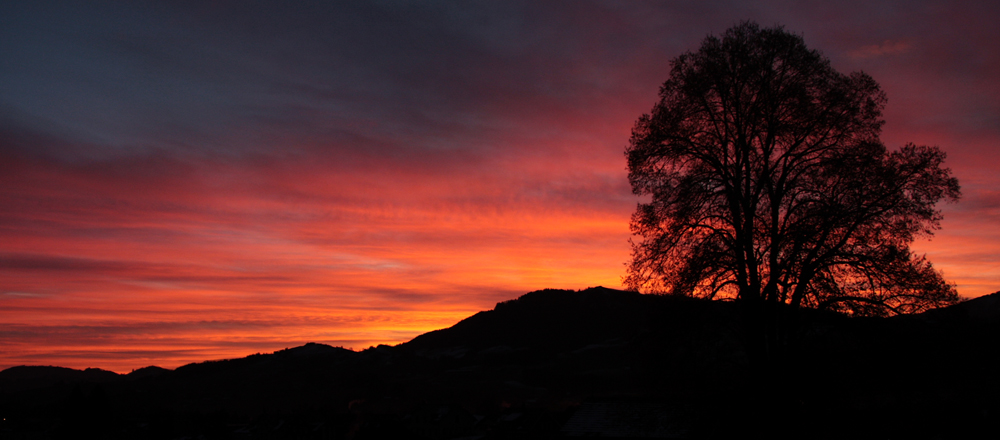 Da kommt man doch auch gerne früh morgens heim? :P