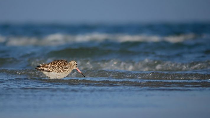 da kommt was auf mich zu ...