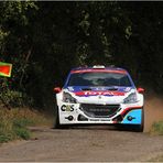 Da kommt was auf uns zu - Das neue (Rallye-) Jahr hat begonnen (1)