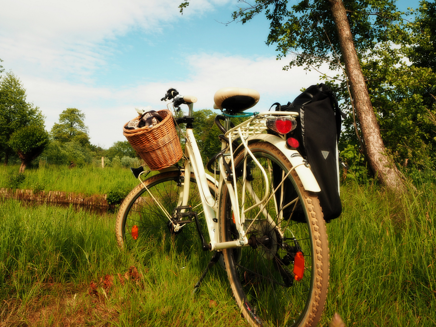 Da kroch ein Käfer kribbelkrab, am hübschen Fahrrad auf und ab.