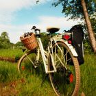 Da kroch ein Käfer kribbelkrab, am hübschen Fahrrad auf und ab.