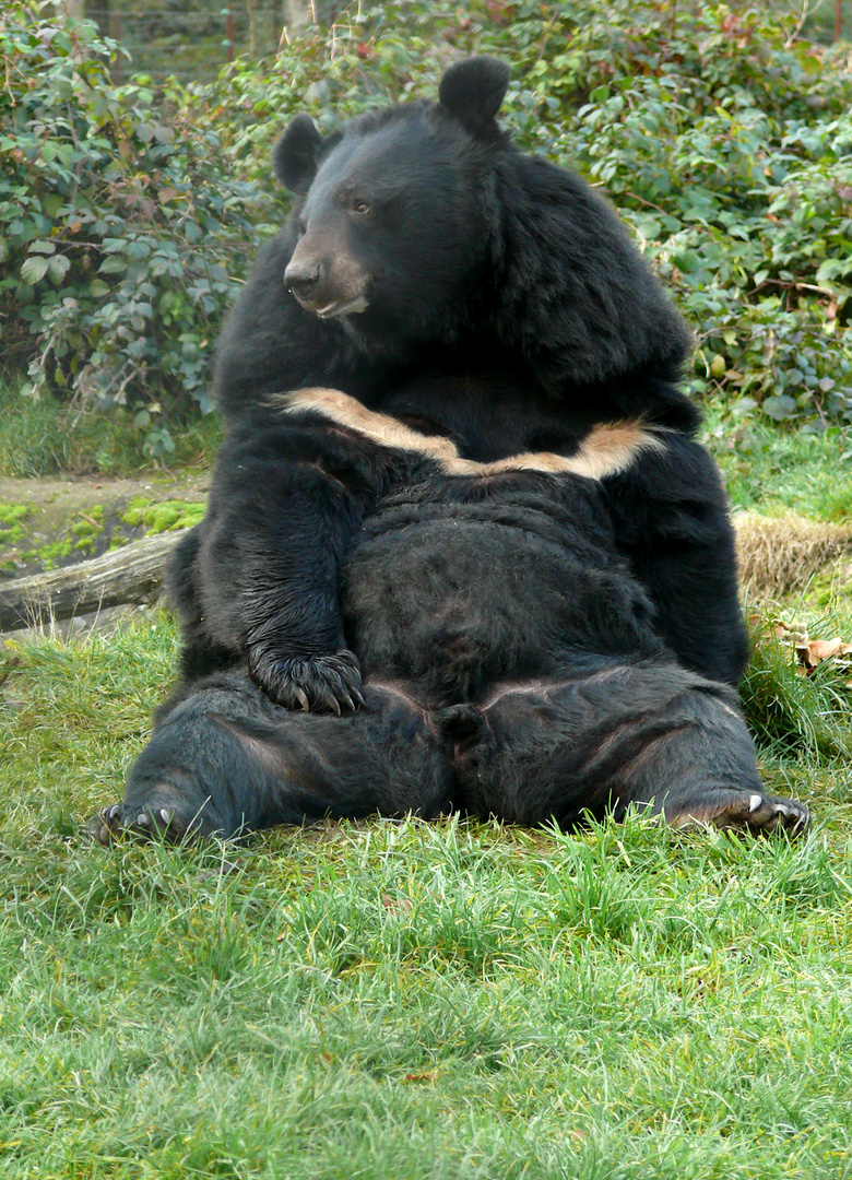 Da lässt die mich doch glatt hier sitzen und macht da mit dem Peter rum