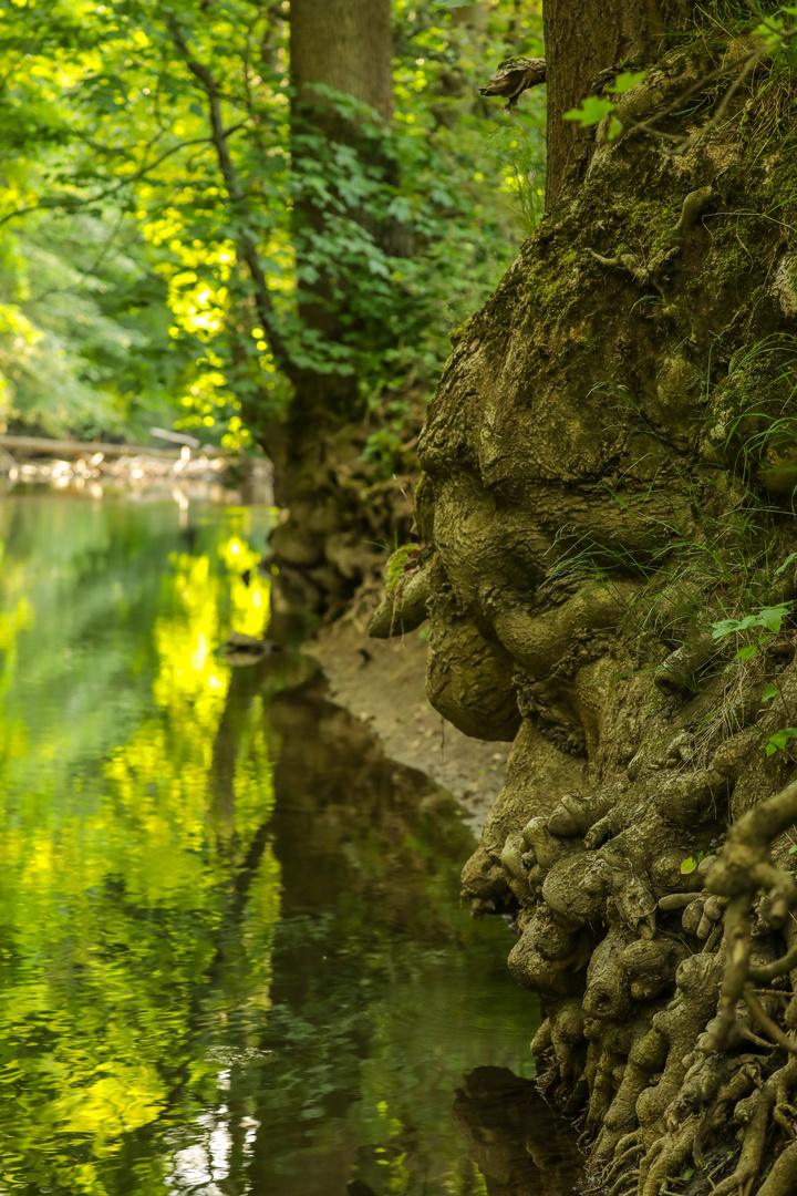 Da liegt er auf der Lauer