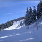 Da macht das Skifahren Spaß...