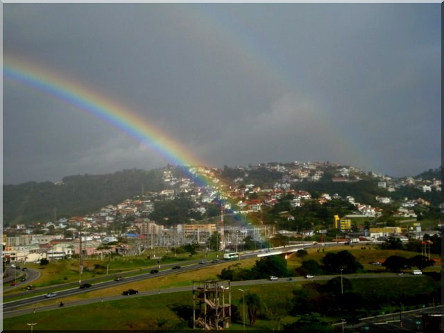 Da minha janela esta manhã...