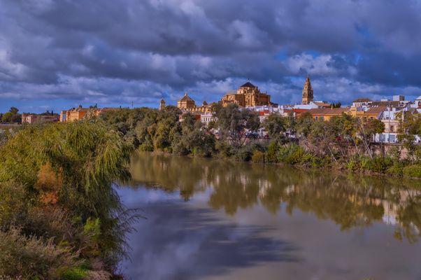 DÍA MUNDIAL DE LA FOTOGRAFÍA 2025