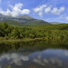 DÍA MUNDIAL DEL  MEDIO AMBIENTE