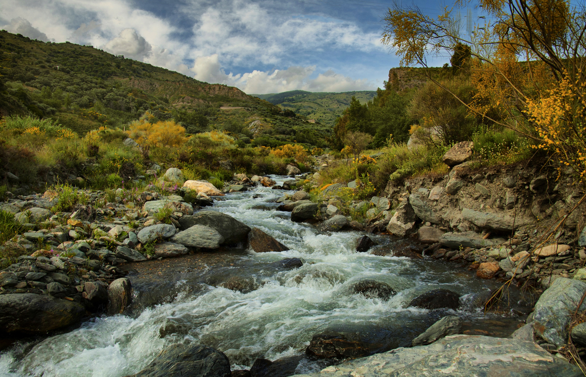 DÍA MUNDIAL DEL MEDIOAMBIENTE 2011: BIODIVERSIDAD