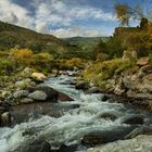 DÍA MUNDIAL DEL MEDIOAMBIENTE 2011: BIODIVERSIDAD