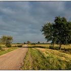 Da muß ich lang - plattes Land