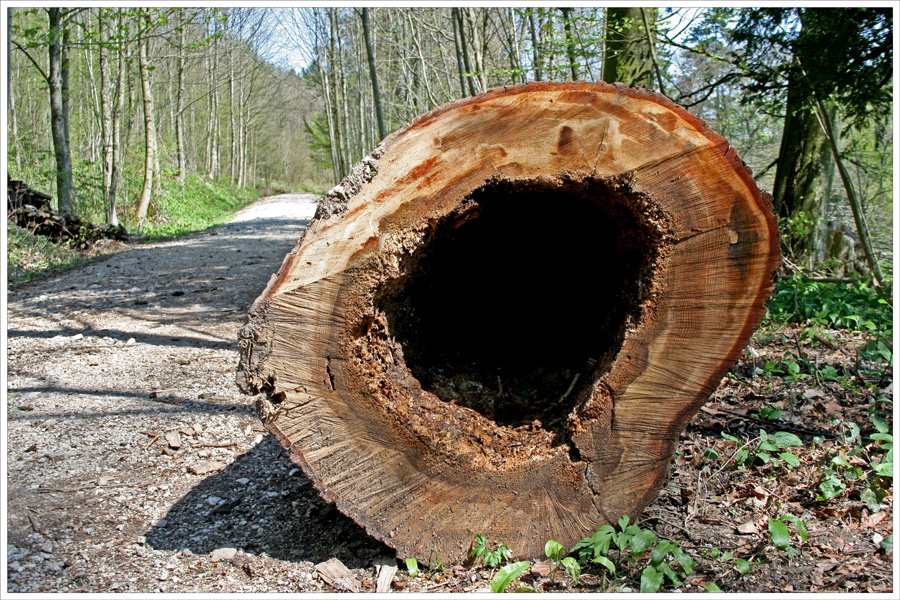 Da nagte der Zahn der Zeit