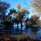 da noi, in autunno...