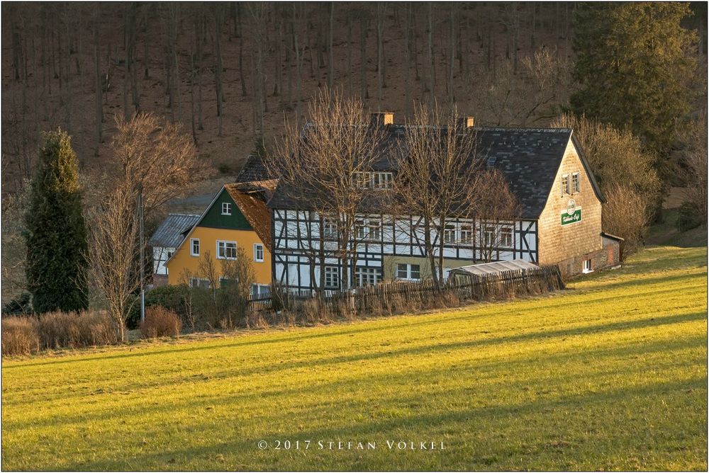 Da oben im Wald....