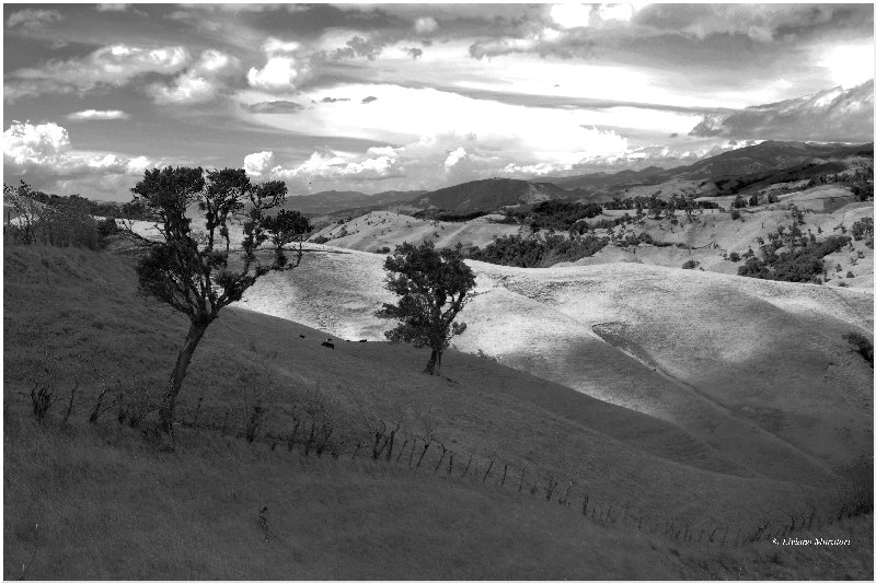 da San Agustin a Popayan(Parco del Puracè) - Colombia