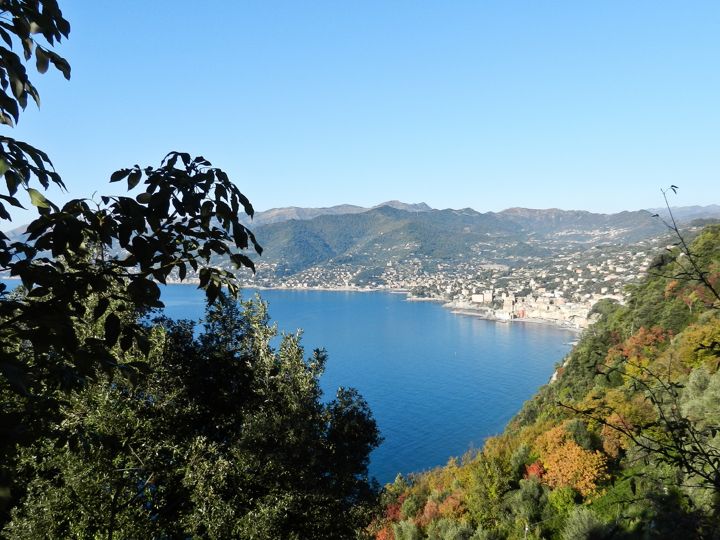 Da San Rocco a Camogli