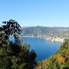 Da San Rocco a Camogli