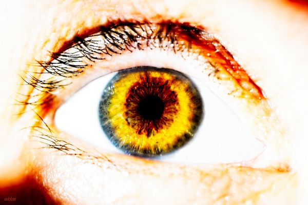 Da schauen wir doch genauer II ...