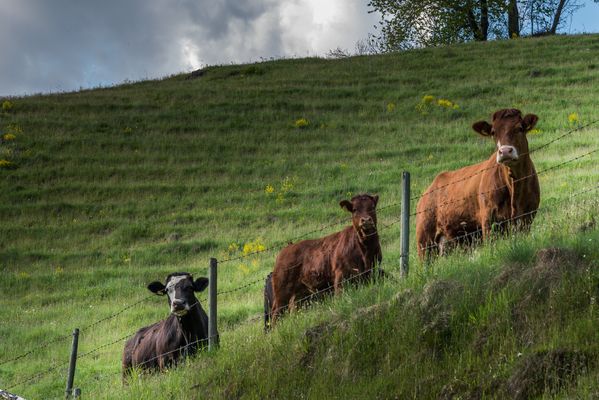 Da schaun wir aber...