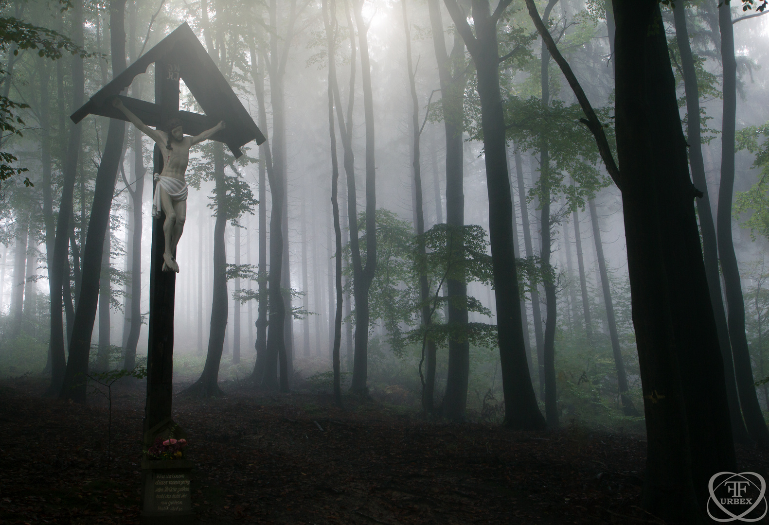 Da sieht man den Wald vor lauter Nebel nicht...