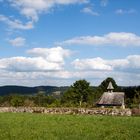 Da sitzt ein Schaf in den Wolken