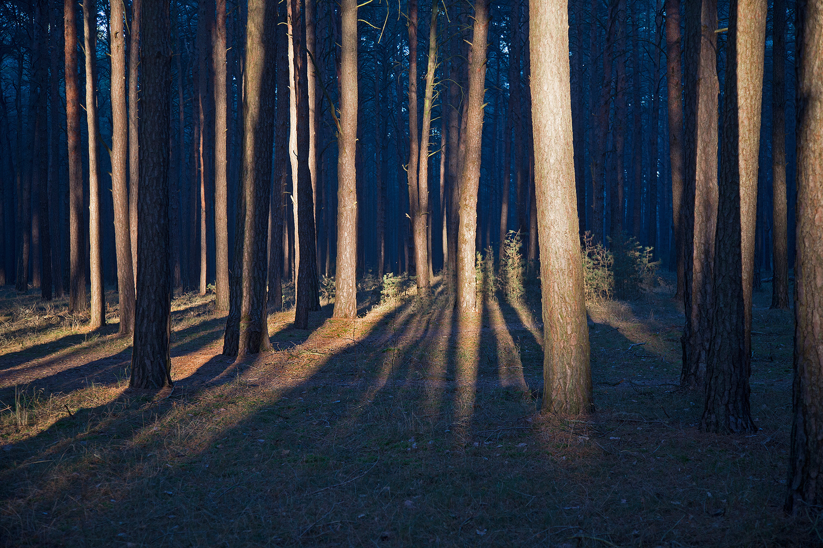 Da soll noch jemand behaupten: "Sonnenstrahlen verlaufen parallel"