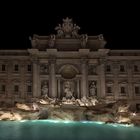 da solo alla Fontana di Trevi