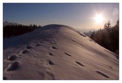 da stand ich, fast wie Sisyphus, am Berg...