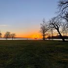 ... da stand plötzlich ein Baum vor der Sonne ...