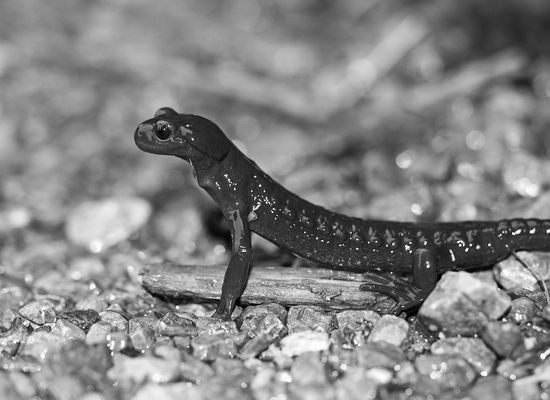 Da staunst du aber ...