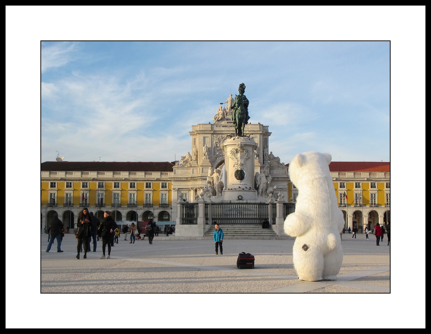 Da staunt der Eisbär....