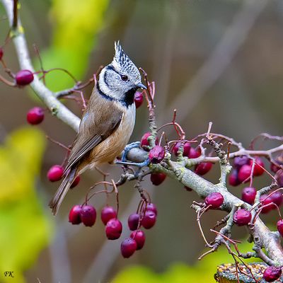    Da staunte ich nicht schlecht  !