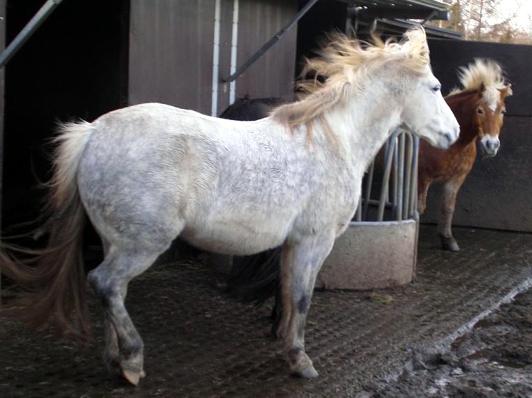 ... da stehen einem ja die Haare zu Berge