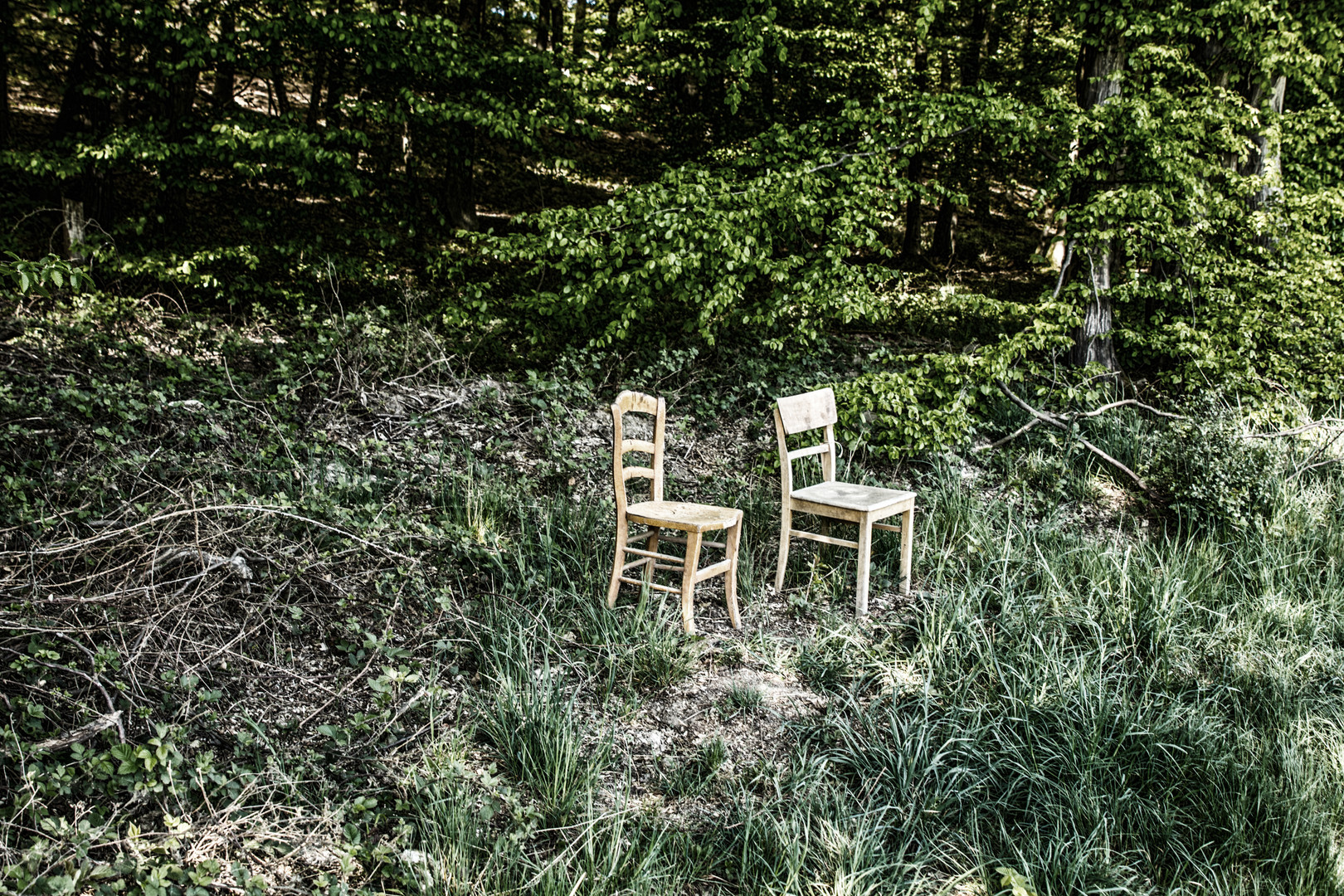 Da stehen zwei Stühle im Wald