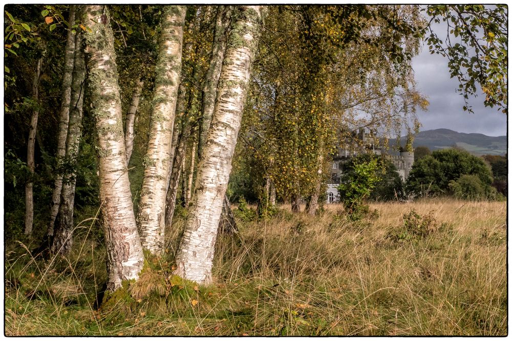 Da steht ein Castle im Wald...