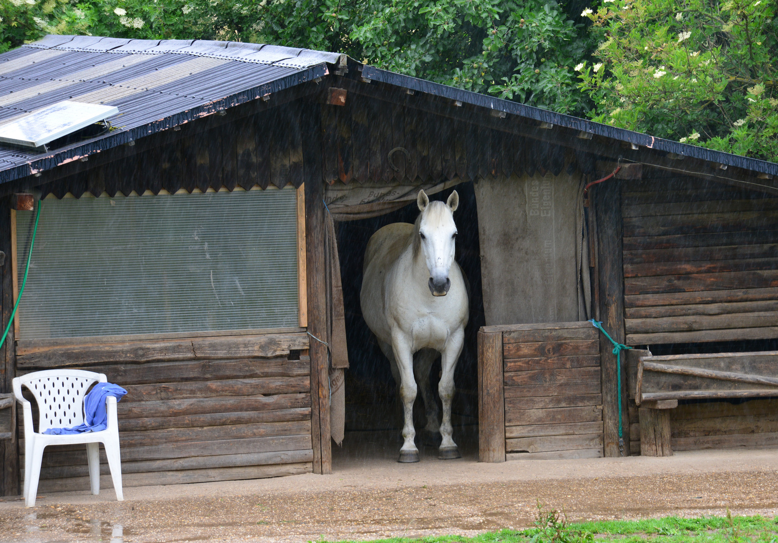 Da steht ein Pferd auf dem Flur...