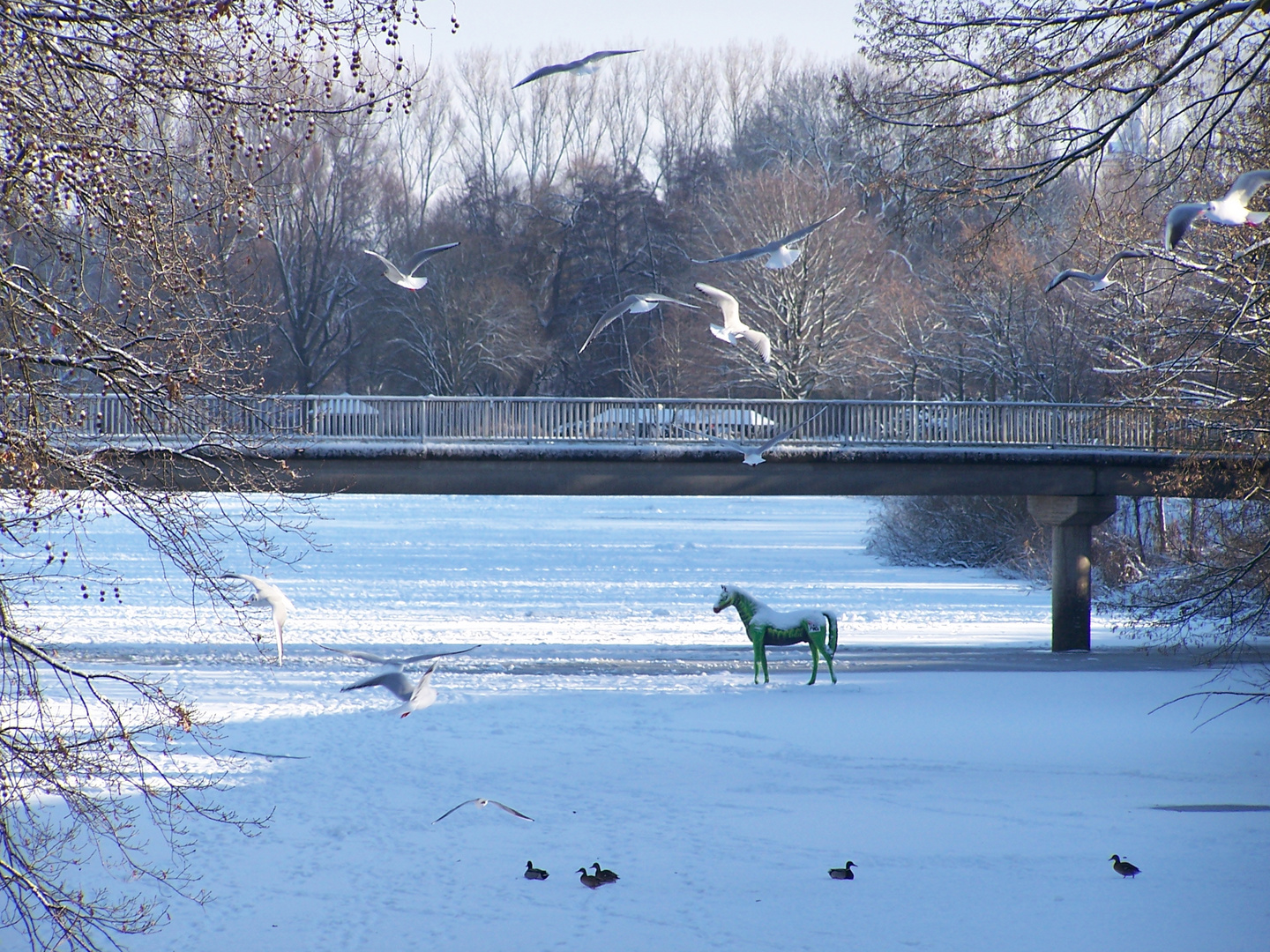 " Da steht ein Pferd auf dem See....."