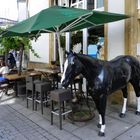 Da steht ein Pferd vor dem Haus ...