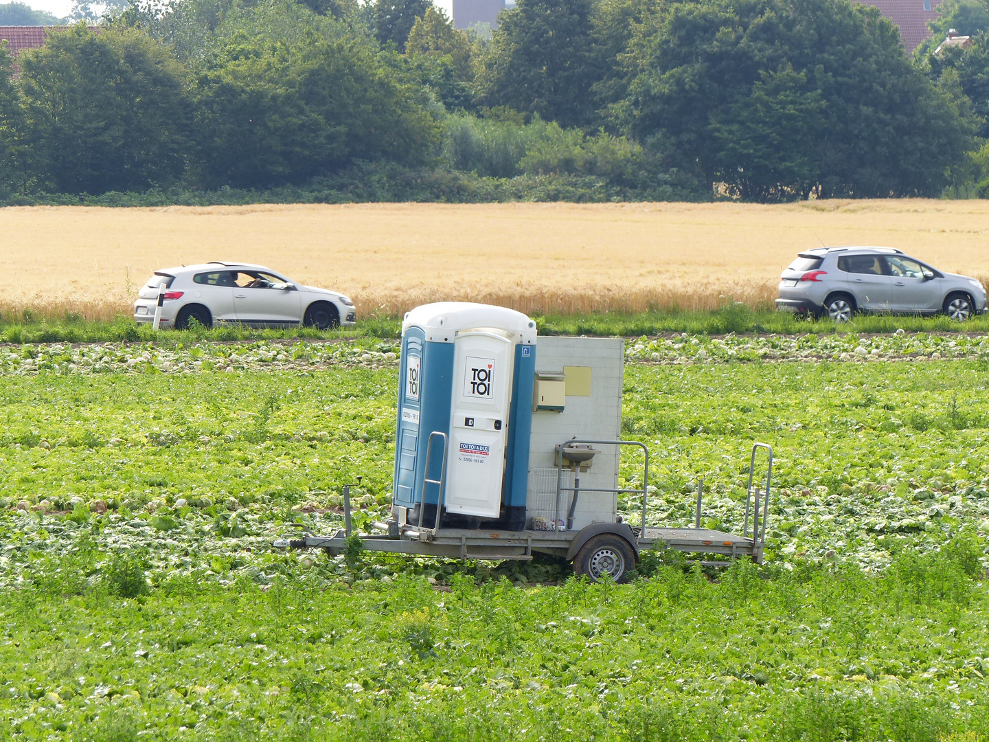 Da steht kein Pferd auf dem Flur,