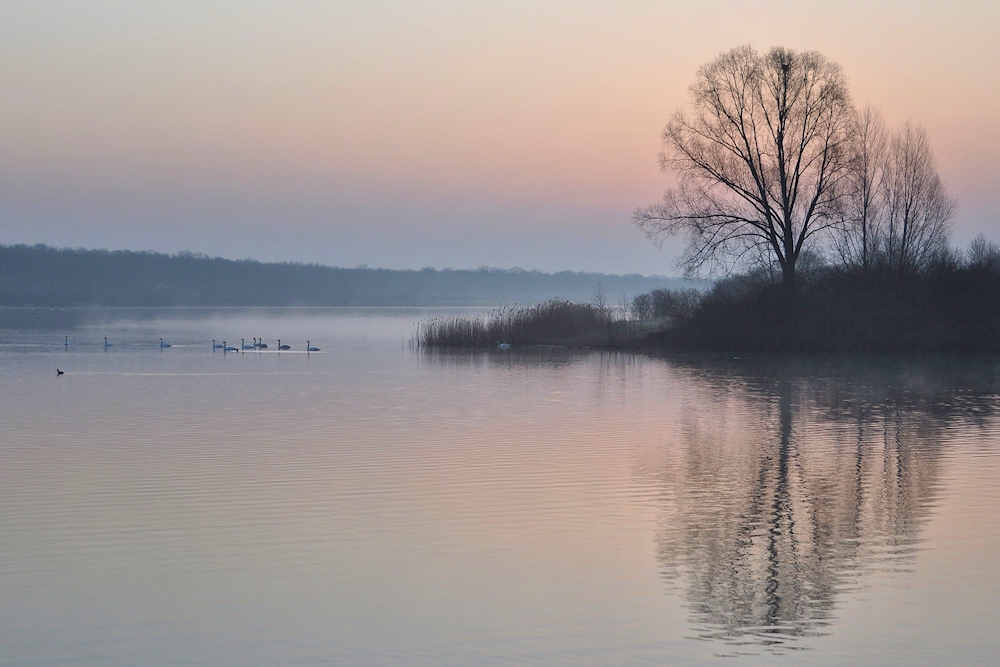 da steht man morgens.....