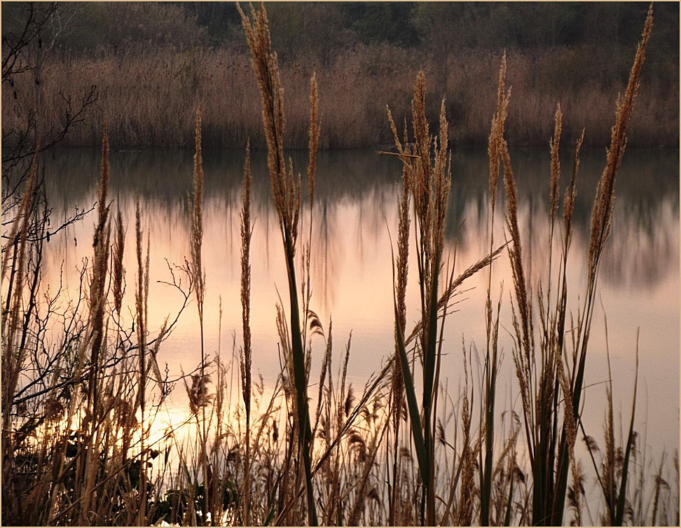 Da una riva all'altra........