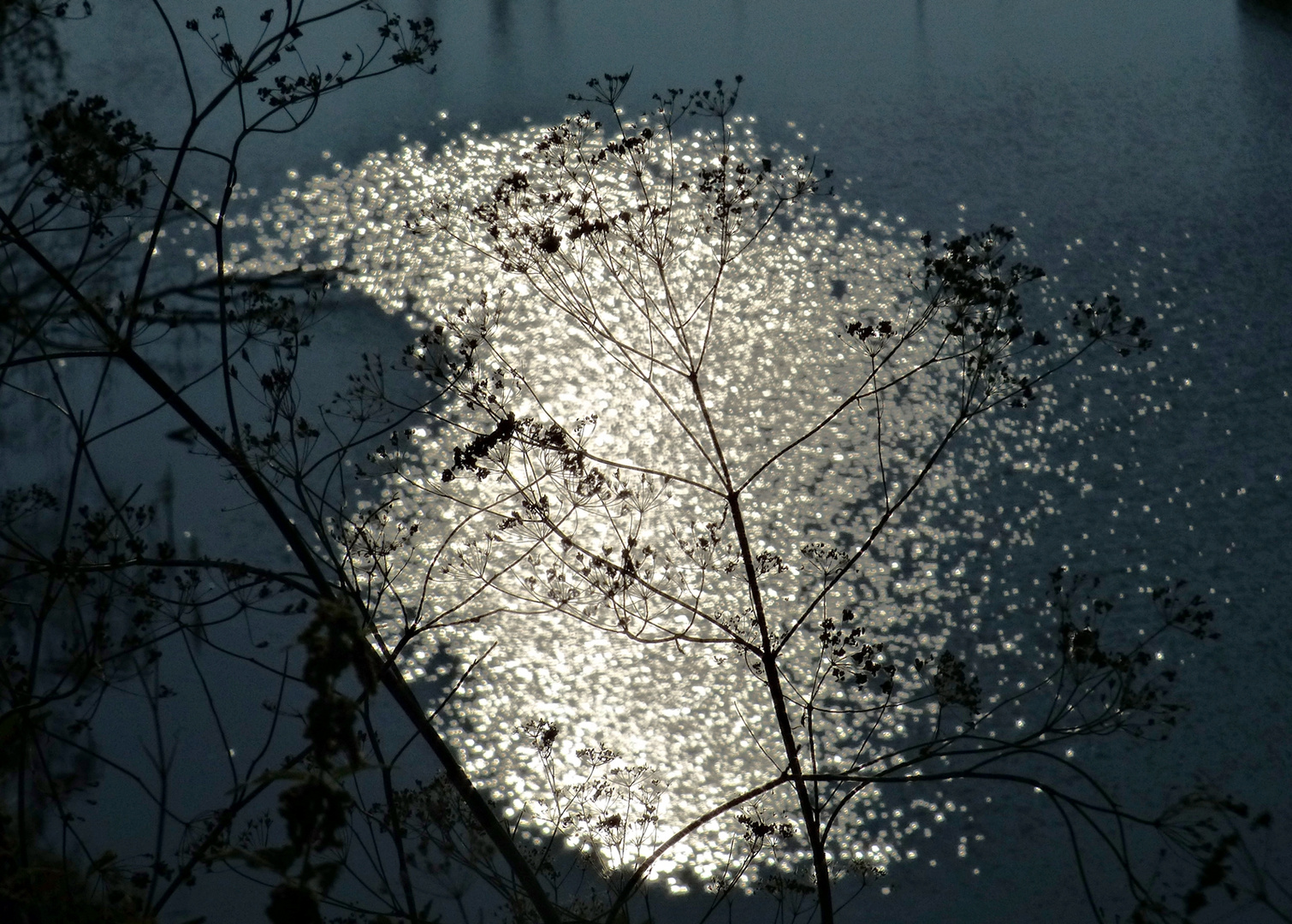 Da unten der See