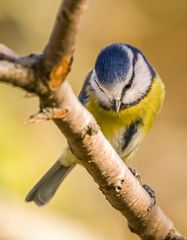 "Da unten ist glaub ich mehr los ...."